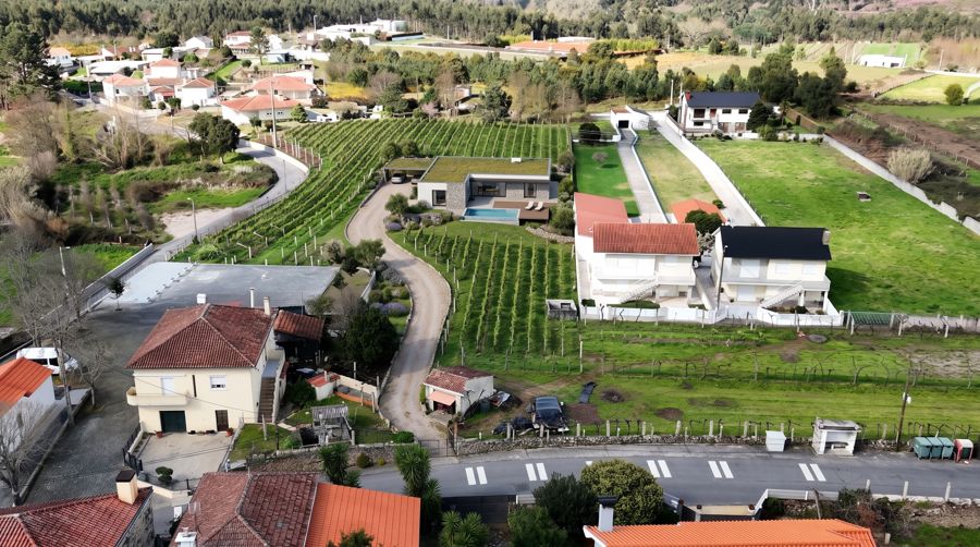 Simulação: moradia com piscina no meio da vinha (Terreno 1)