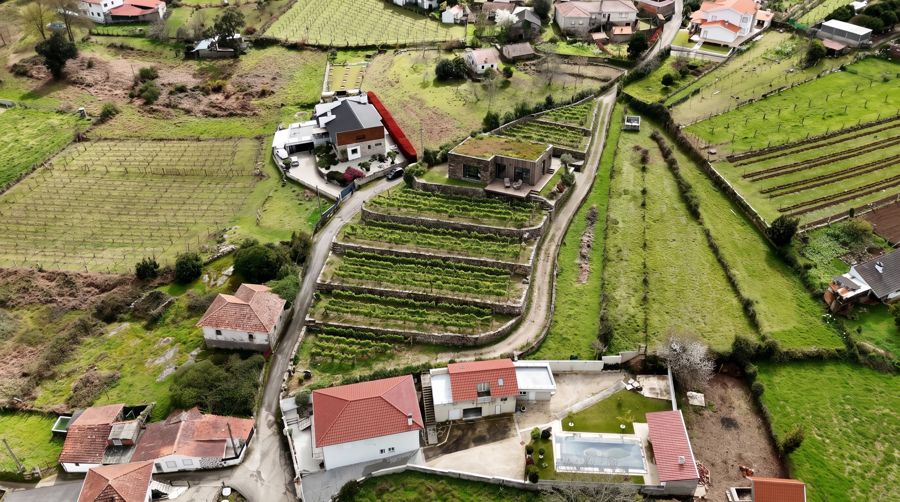 Simulação: casa no topo dos socalcos (Terreno 2)