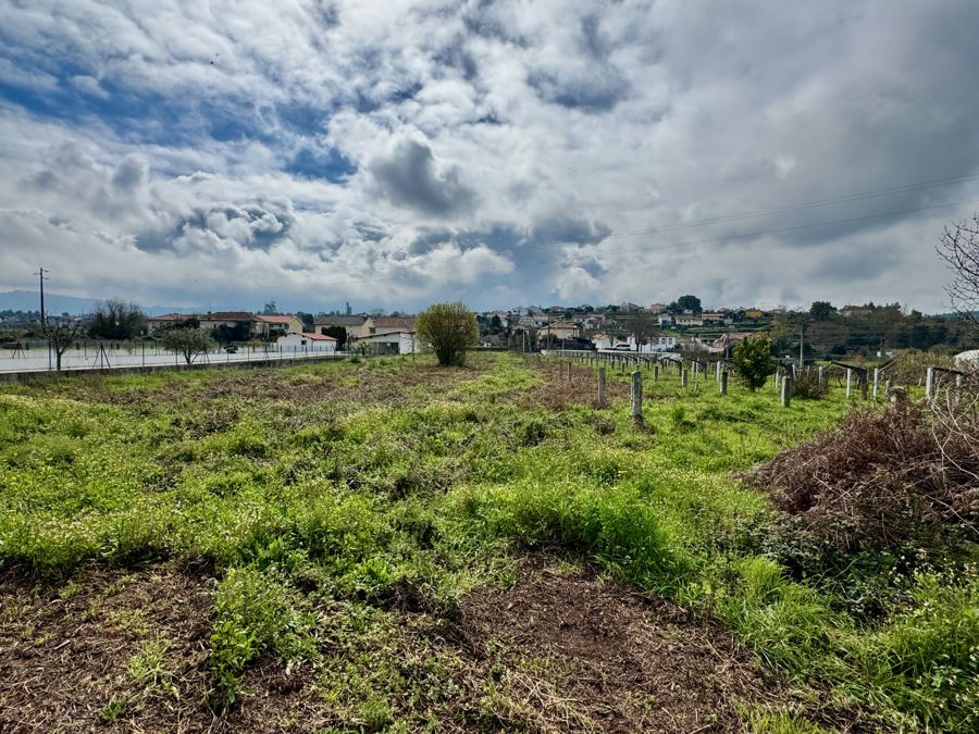 Terreno 1