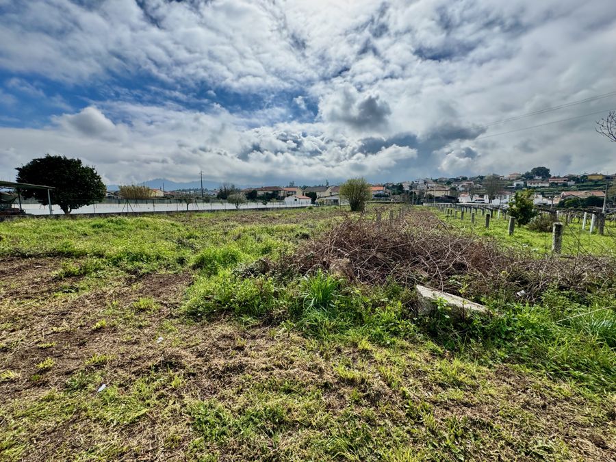 Terreno 1