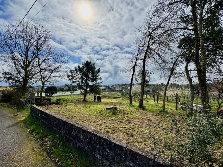 Terreno 1: muro e caminho