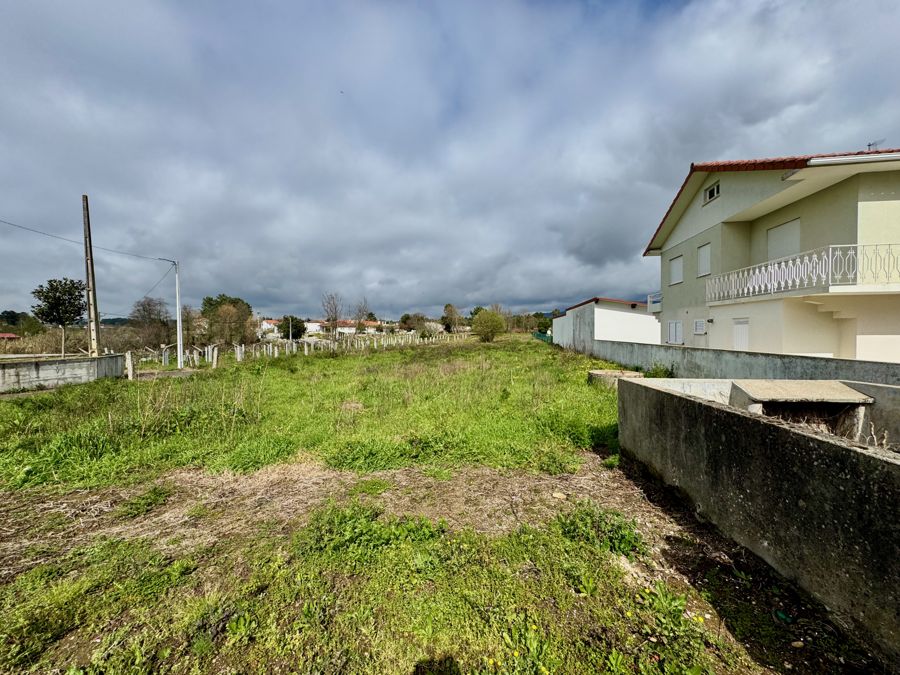 Terreno 1