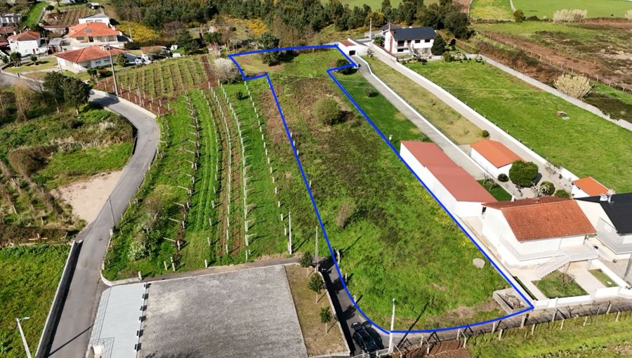Terreno de 3600 m² junto ao Rio Minho, terra do Alvarinho